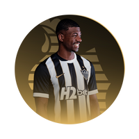 PLAYER VERSION