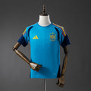 Spain TRAINING 2026 - Fan Version