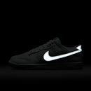 Nike Dunk Low  SE SUMMIT WHITE/METALLIC SILVER-GLACIER ICE HQ3619-121