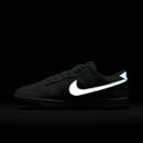 Nike Dunk Low  SE SUMMIT WHITE/METALLIC SILVER-GLACIER ICE HQ3619-121