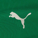 Fluminense - 2026/27  Training Fan Version - Green